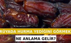 Rüyada Hurma Ağacı Görmek Ne Anlama Gelir? Neye İşarettir? Anlamı, Yorumu